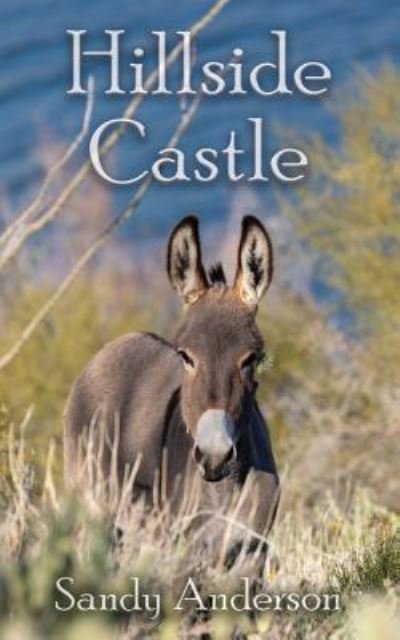 Cover for Sandy Anderson · Hillside Castle (Taschenbuch) (2019)