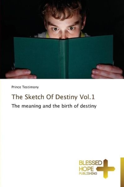 Cover for Prince Testimony · The Sketch of Destiny Vol.1: the Meaning and the Birth of Destiny (Pocketbok) (2013)