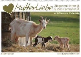 Cover for Löwer · Mutterliebe - Ziegen mit ihren sü (Bog)