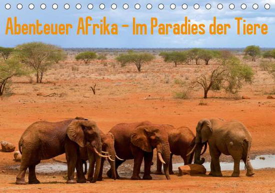 Cover for Rohr · Abenteuer Afrika - Im Paradies der (Buch)