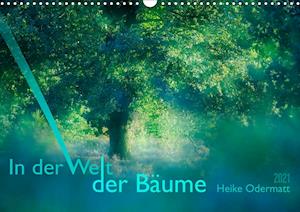 Cover for Odermatt · In der Welt der Bäume (Wandkal (Book)