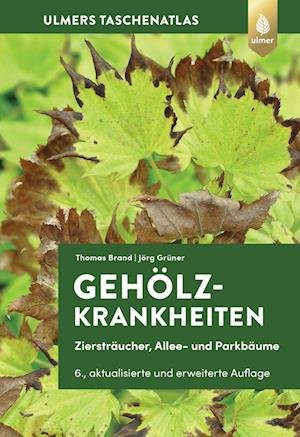 Cover for Butin, Heinz; Nienhaus, Franz; BÃ¶hmer, Bernd · Farbatlas GehÃ¶lzkrankheiten (Book)