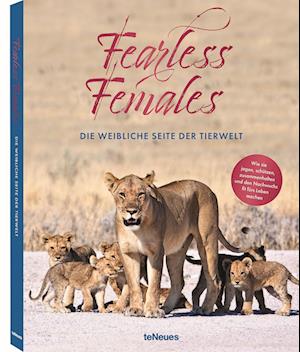 Cover for Mario Ludwig · Fearless Females (Book) (2021)