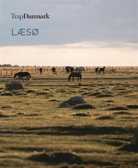 Cover for Trap Danmark · Trap Danmark: Læsø Kommune (Pocketbok) [1:a utgåva] (2017)