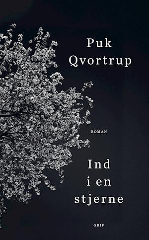 Cover for Puk Qvortrup · Ind i en stjerne (Indbundet Bog) [1. udgave] (2019)
