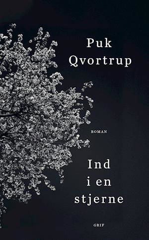 Ind i en stjerne - Puk Qvortrup - Bøger - Grif - 9788793661523 - 3. maj 2019