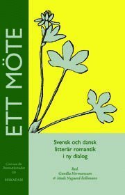 Cover for Hermansson Gunilla (red.) · Ett möte : svensk och dansk litterär romantik i ny dialog (Bok) (2008)
