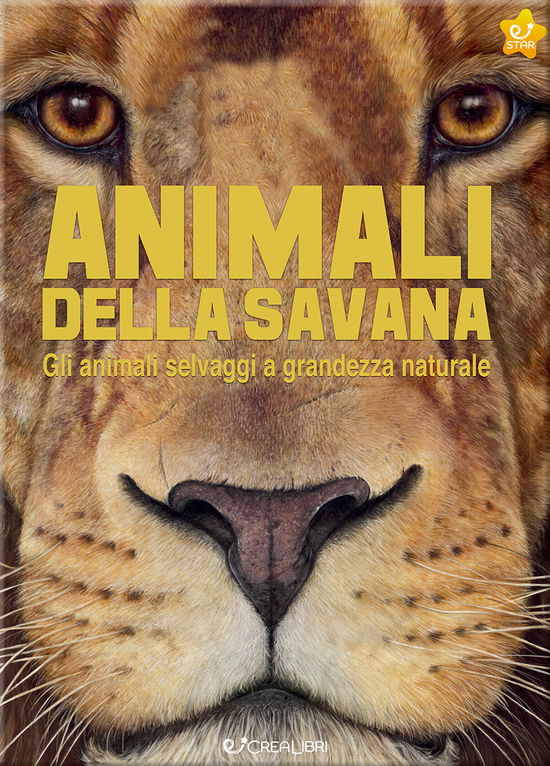 Cover for Holger Haag · Animali Della Savana. Gli Animali Selvaggi A Grandezza Naturale. Ediz. A Colori (Book)