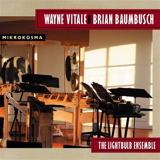Cover for Lightbulb Ensemble · Wayne Vitale &amp; Brian Baumbusch: Mikrokosma (CD) (2017)
