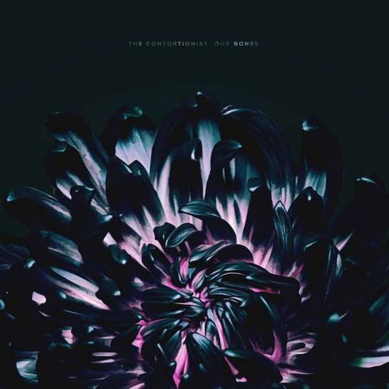 Cover for The Contortionist · Our Bones (CD) [EP edition] (2019)