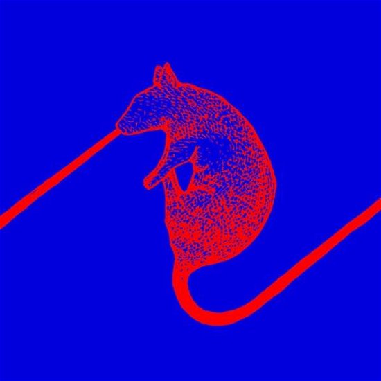 Cover for Dwarfs Of East Agouza · Rats Don't Eat Synthesizers (LP) (2018)