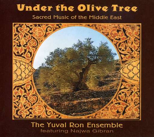 Cover for Yuval Ron · Under the Olive Tree (CD) (2012)