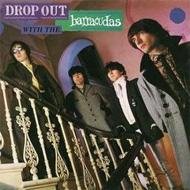 Cover for Barracudas · Drop out with The... (CD) (2005)