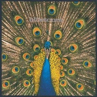 Cover for Bluetones · Expecting to Fly (CD) (1998)
