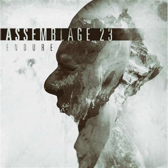 Cover for Assemblage 23 · Endure (CD) (2022)