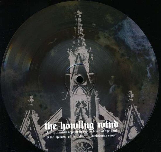 Cover for Howling Wind · Tyrannical Deposit In -Pd (7&quot;) [Picture Disc edition] (2009)