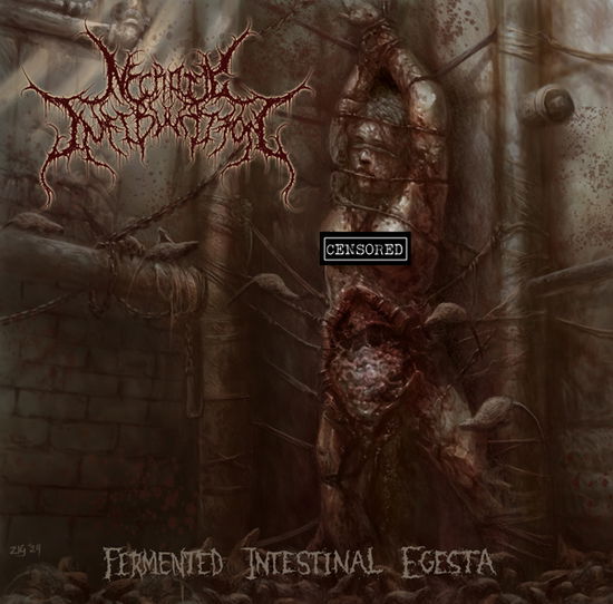 Cover for Necrotic Infibulation · Fermented Intestinal Egesta (CD) (2024)