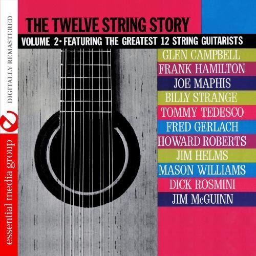Cover for Twelve String Story: 2 / Var · Twelve String Story: 2 / Var-Twelve String Story: (CD) (2012)