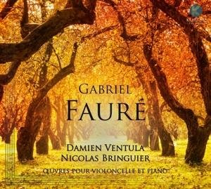Cover for G. Faure · Oeuvres Pour Violoncelle (CD) (2016)