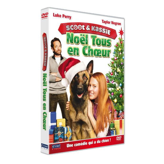 Cover for Noel Tous En Ch?ur (DVD)