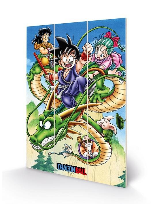 Cover for Wood Poster · DRAGON BALL Z - Soaring Through the Sky - Wood Pri (MERCH) (2020)