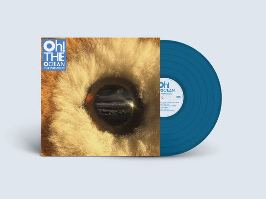 Cover for The Wombats · Oh the Ocean (LP) [Transparent Blue Vinyl edition] (2025)