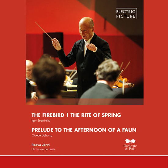 Cover for Stravinsky / Orchestre De Paris / Jarvi / Aiche · Firebird / Rite of Spring (DVD) (2013)