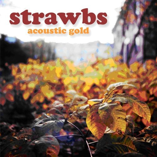 Cover for Strawbs · Acoustic Gold (CD) (2016)