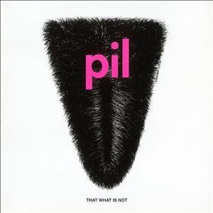 That What is Not - P.i.l. (Public Image Limited) - Música - PUNK / ROCK - 5099908801524 - 24 de janeiro de 2012