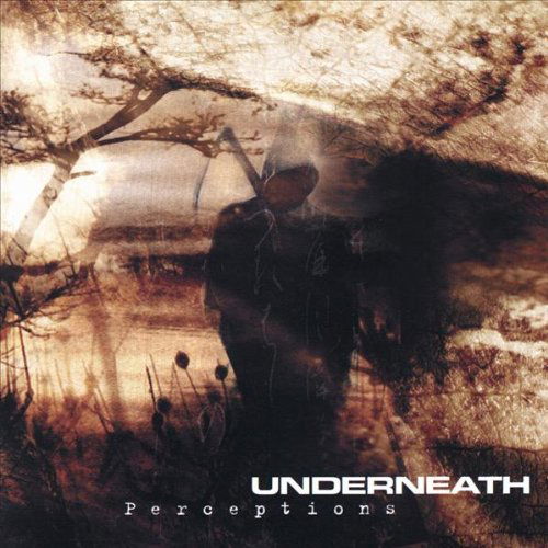 Cover for Underneath · Perceptions (CD) (2007)