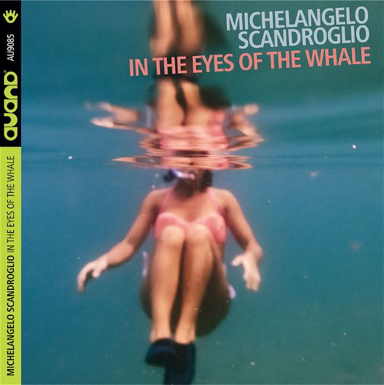 Cover for Scandroglio Michelange · Scandroglio Michelange - In The Eyes Of The Whale (CD)