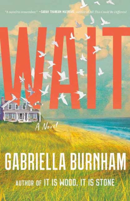 Wait: A Novel - Gabriella Burnham - Books - Random House USA Inc - 9780593596524 - May 6, 2025