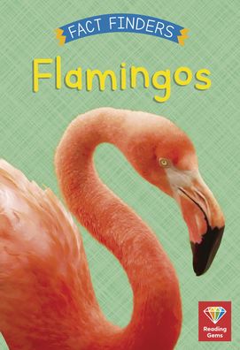 Cover for Katie Woolley · Flamingos (Hardcover Book) (2022)