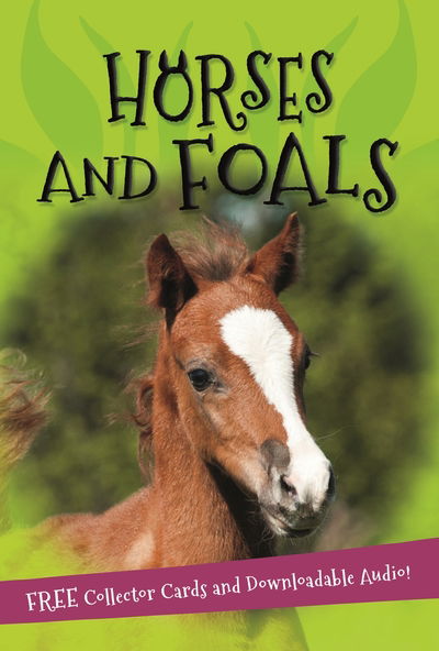 Cover for Kingfisher · It's all about... Horses and Foals - It's all about... (Pocketbok) (2018)