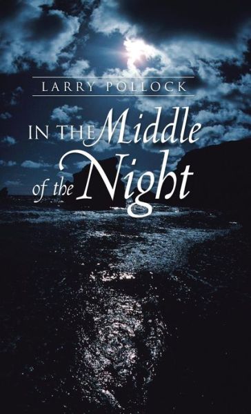 Cover for Larry Pollock · In the Middle of the Night (Hardcover Book) (2013)