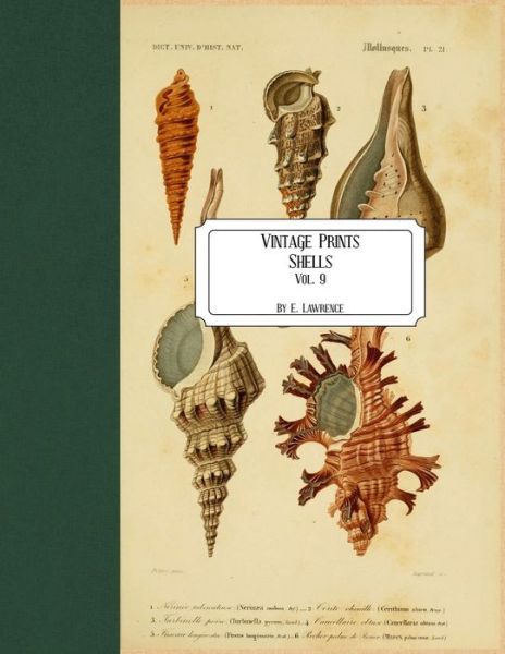 Vintage Prints : Shells - E. Lawrence - Książki - CreateSpace Independent Publishing Platf - 9781727321524 - 15 września 2018