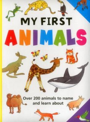 My First Animals - Armadillo - Books - Anness Publishing - 9781861476524 - June 2, 2015