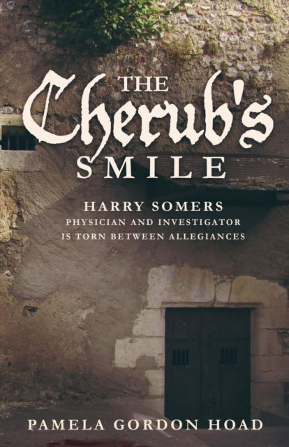 The Cherub's Smile: The Continuing Trials of Harry Somers - Continuing Trials of Harry Somers - Pamela Gordon Hoad - Books - Pamela Gordon - 9781909411524 - June 1, 2017