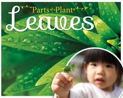 Cover for Gemma McMullen · Leaves - Parts of a Plant (Hardcover Book) (2015)