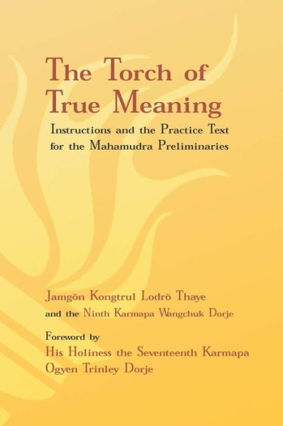 Cover for Jamgon Kongtrul Lodro Thaye · Torch of True Meaning: Instructions and the Practice for the Mahamudra Preliminaries (Paperback Book) (2014)