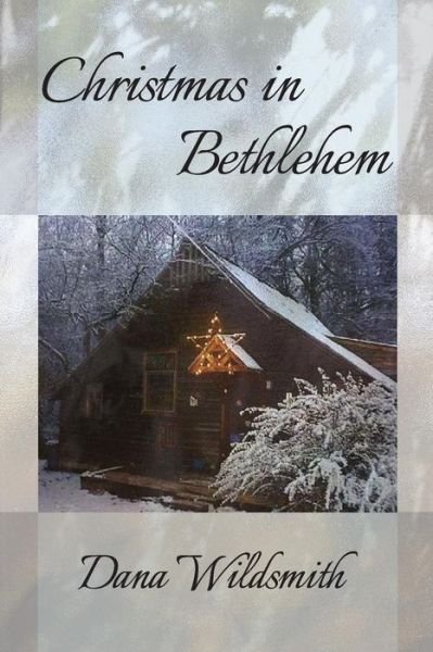 Cover for Dana Wildsmith · Christmas in Bethlehem (Paperback Book) (2013)