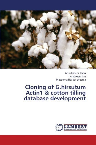 Cover for Masooma Naseer Cheema · Cloning of G.hirsutum Actin1 &amp; Cotton Tilling Database Development (Paperback Book) (2013)