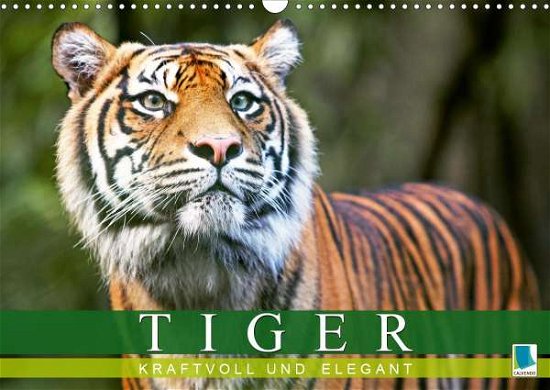 Cover for Tiger · Kraftvoll Und Elegant (Wandkalen (Book)