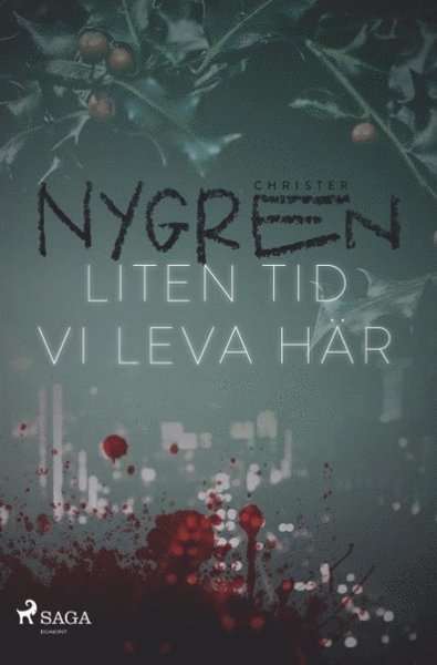 Cover for Christer Nygren · Liten tid vi leva här (Book) (2019)