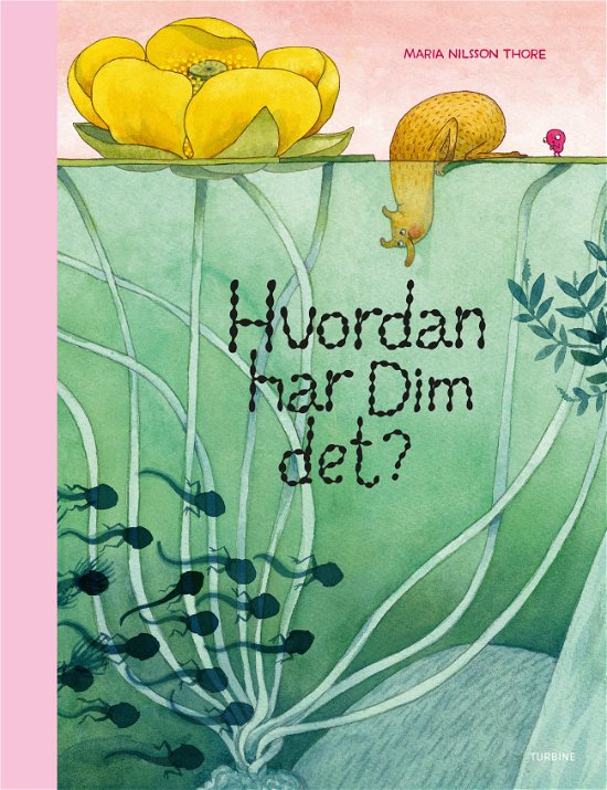 Cover for Maria Nilsson Thore · Hvordan har Dim det? (Hardcover bog) [1. udgave] (2024)