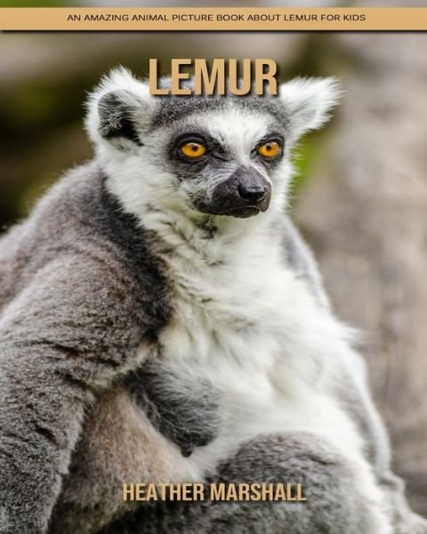 Cover for Heather Marshall · Lemur: An Amazing Animal Picture Book about Lemur for Kids (Paperback Book) (2021)