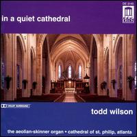 Cover for Todd Wilson · In A Quiet Cathedral (CD) (1995)