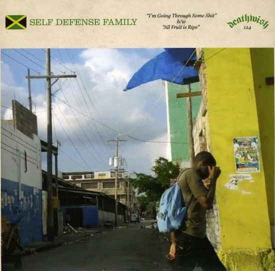 Cover for Self Defense Family · Island Sessions 1  by Self Defense Family (LP) (2012)