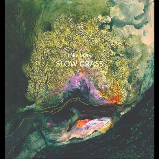 Cover for Lake Mary · Slow Grass (LP) (2022)