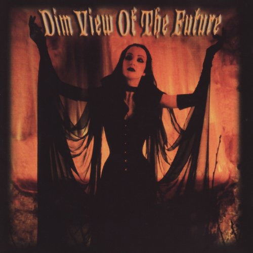 Cover for Various Artists · Dim View Of The Future (CD) (1998)